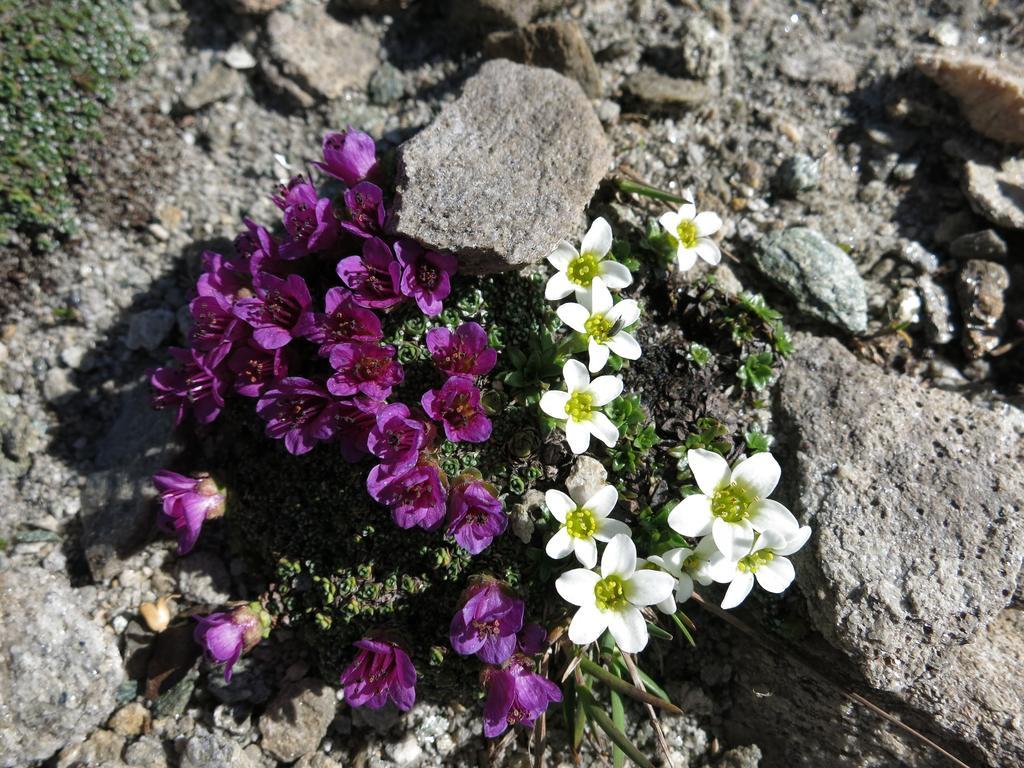 Вилла Klampererhof Фирген Экстерьер фото
