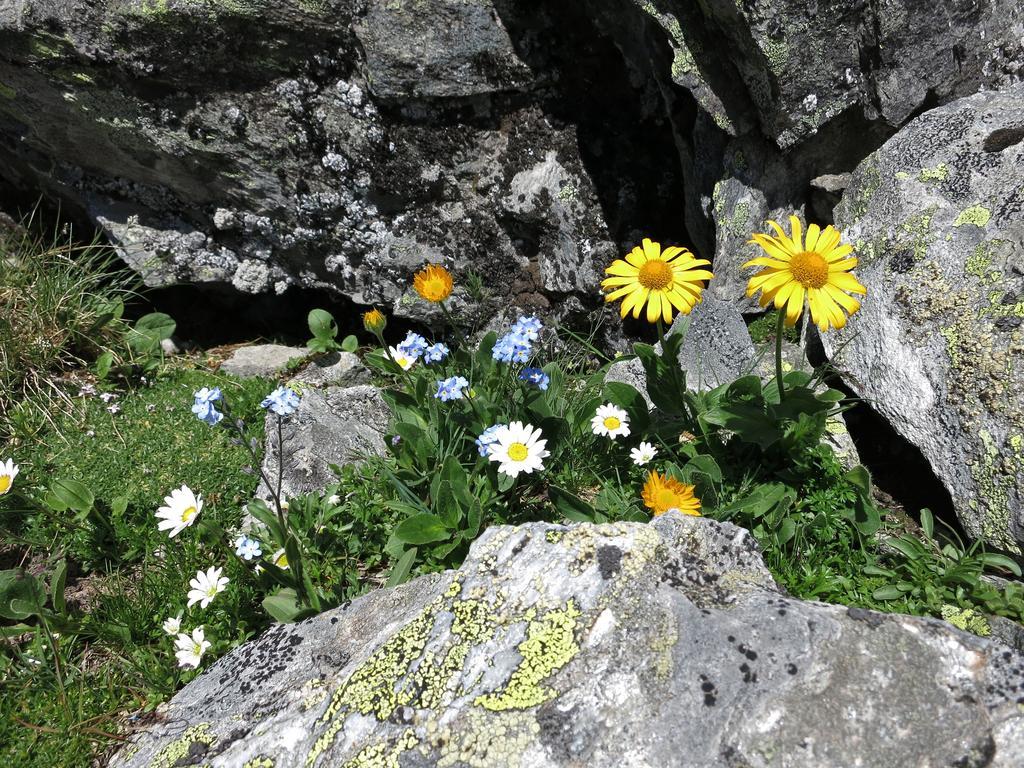 Вилла Klampererhof Фирген Экстерьер фото